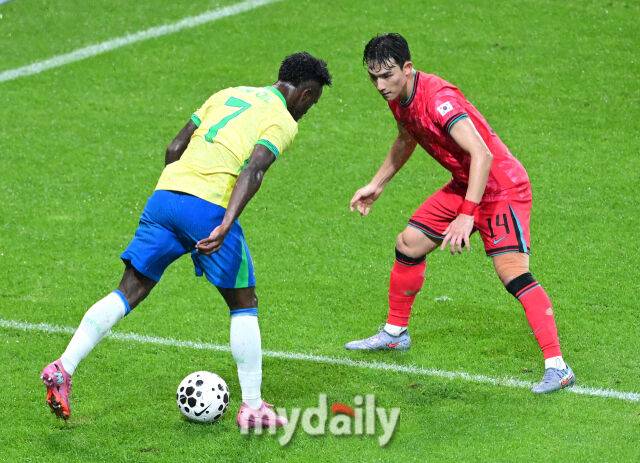 비니시우스/마이데일리 DB