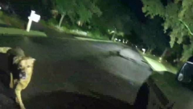 경찰차로 달려오는 반려견 이요르 [AP]