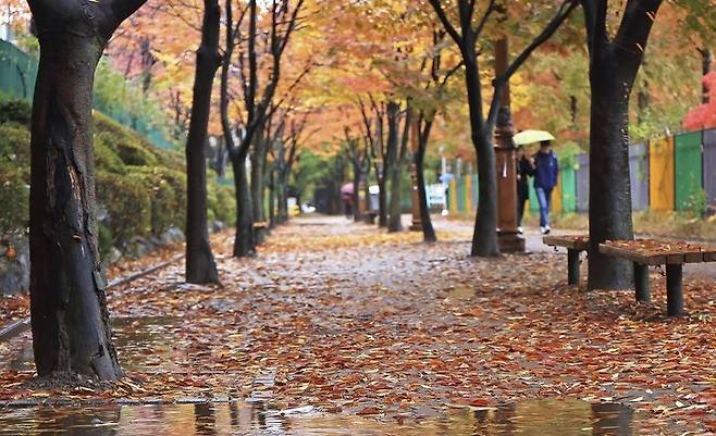 게티이미지뱅크