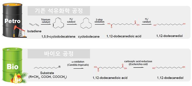 기존 석유화학 공정(위)과 바이오 공정(아래)을 통한 지방족 폴리에스터 원료 제조공정 비교. /한국섬유개발연구원 제공