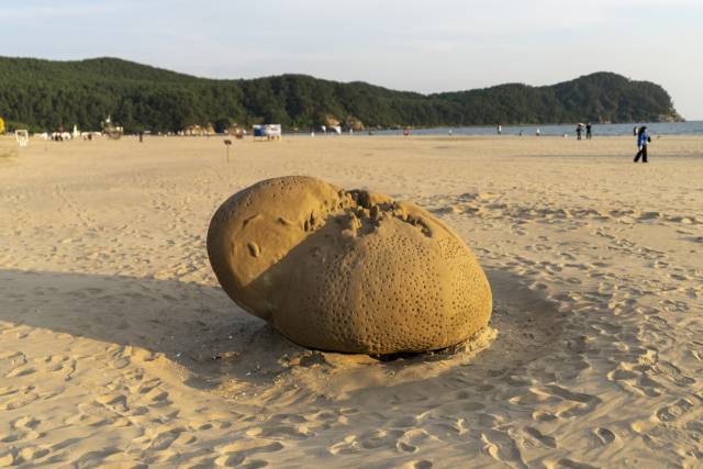지븨 리& 필립 씨. 라이너 ‘편린들: 바닷물결의 기억’(2025). 부산비엔날레조직위원회 제공