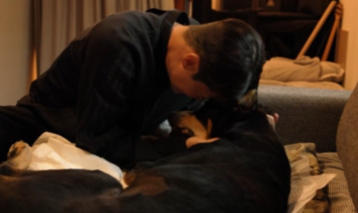 모델 겸 배우 배정남이 반려견 벨과 이별하는 장면이 전파를 탔다. [사진출처 = SBS ‘미우새’ 영상 캡처]