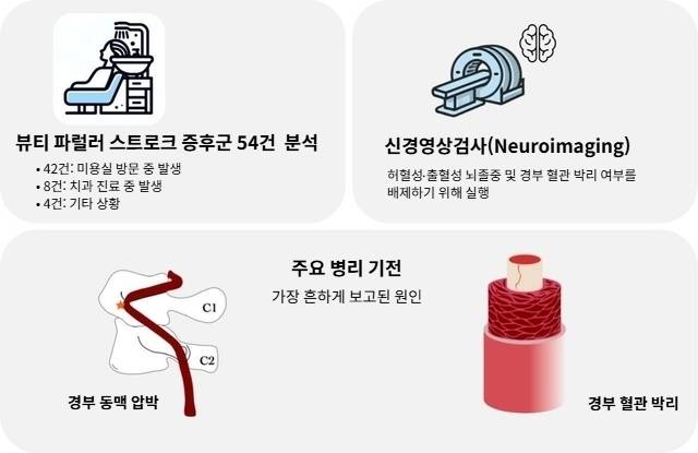 논문을 요약한 그래픽 디자인. 그리스 연구팀