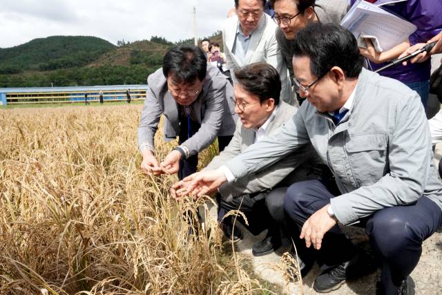 김민석(앞줄 가운데) 국무총리가 이달 7일 벼 깨씨무늬병 피해 지역인 장흥군 안양면 해창리의 한 농가를 둘러보고 있다. 연합뉴스