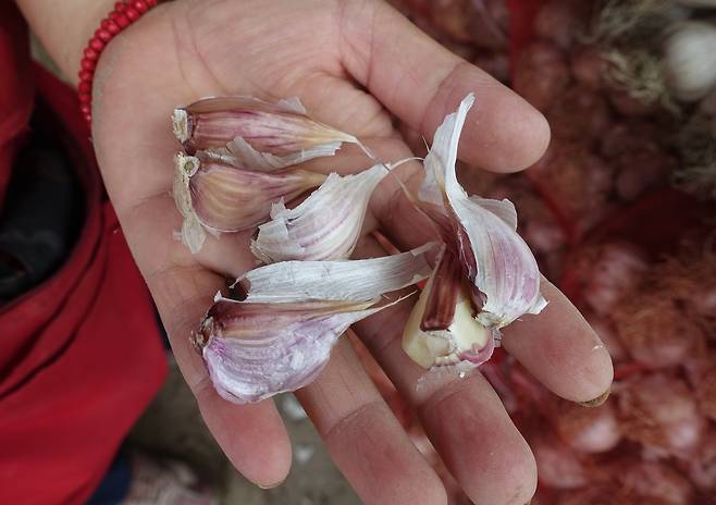동서양을 불문하고 사람들은 오래전부터 마늘을 먹어왔다.