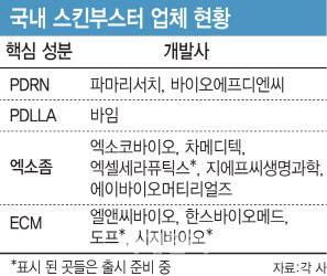 [그래픽=이데일리 김일환 기자]