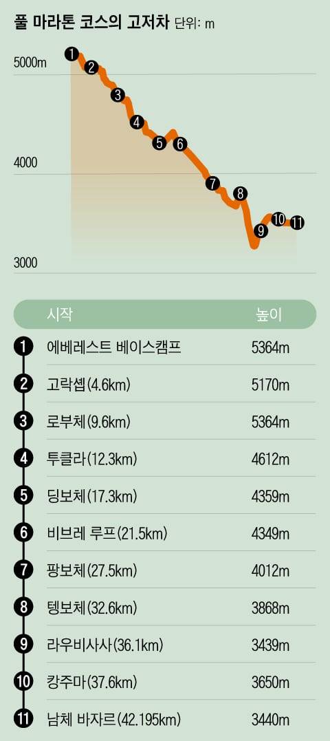 그래픽=조선디자인랩 이민경