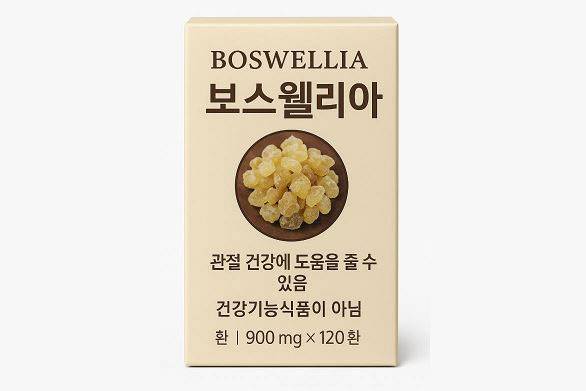 챗gpt 생성 사진./사진=챗gpt