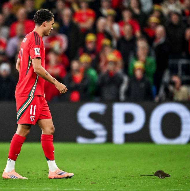 사진=SNS 캡처&nbsp;