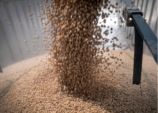 미국산 대두. (사진=AFP 연합뉴스)