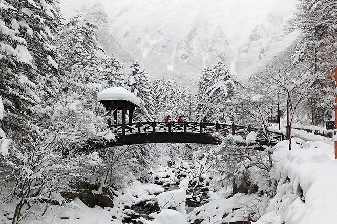 삼척 대이동굴지대 설경 [연합뉴스 자료사진]