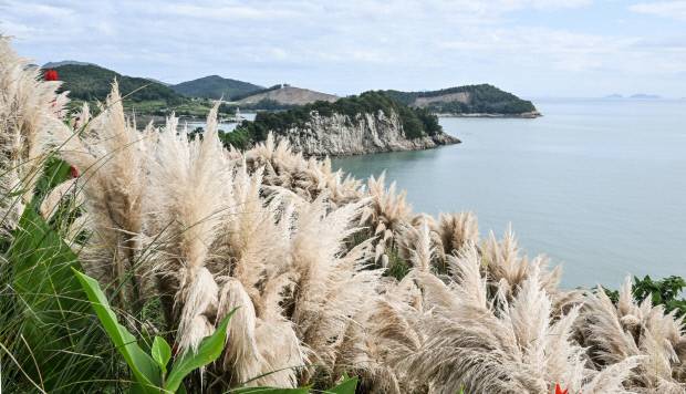 쑥섬 ‘비밀의 정원’에 오르니 멀리 고흥 바다가 내려다보인다. /최현배 기자