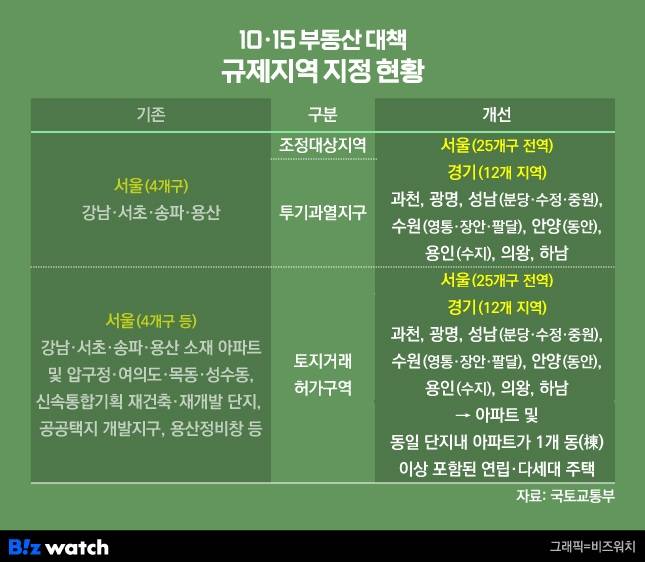 10·15 부동산대책 규제지역 지정현황/그래픽=비즈워치