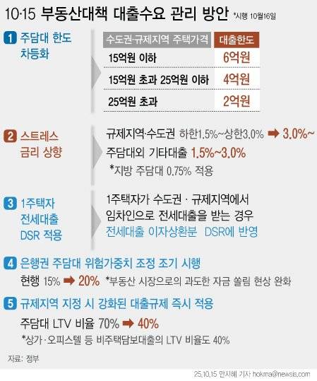 10·15 부동산대책 대출수요 관리방안. 뉴시스