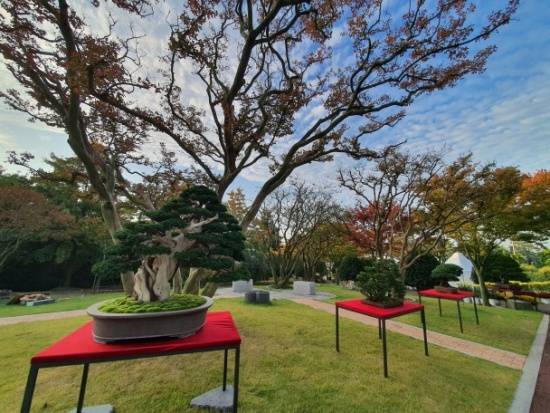 전남 신안군 분재공원. 신안군 제공.