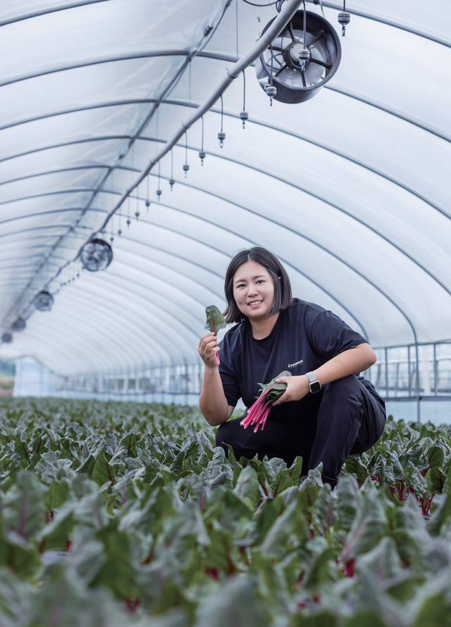 경기 여주에서 쌈채소·허브 재배하는 김혜지 씨.
