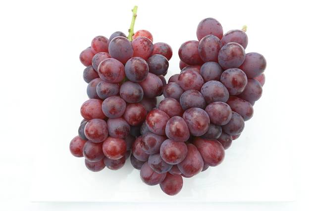 씨가 없고 은은한 머스켓 향이 나는 포도 ‘홍주씨들리스’. 농촌진흥청