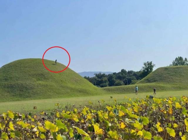 ▲ 신라 고분에 올라가 있는 아이(빨간원)와 밑에서 촬영하고 있는 보호자 ⓒ 서경덕 교수 사회관계망서비스 갈무리