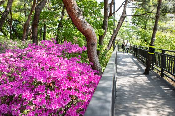무장애길을 조성해 둔 서울 동대문구의 한 근린 공원 모습. [사진 서울관광재단]