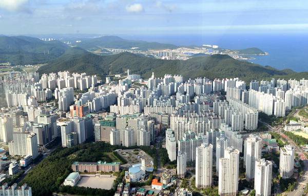 부산 아파트 전경. 국제신문DB