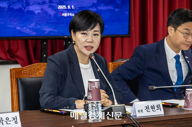 전현희 더불어민주당 최고위원