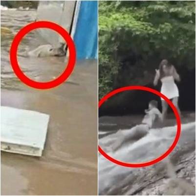 [온라인커뮤니티(왼쪽), 엑스(X·옛 트위터·오른쪽)]