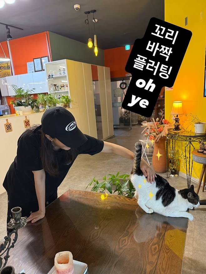 김희선 소셜네트워크서비스 계정