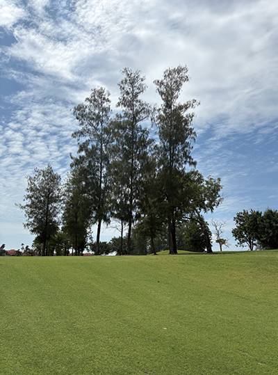 잔디 관리가 잘 돼 있는 라구나 골프 푸껫.