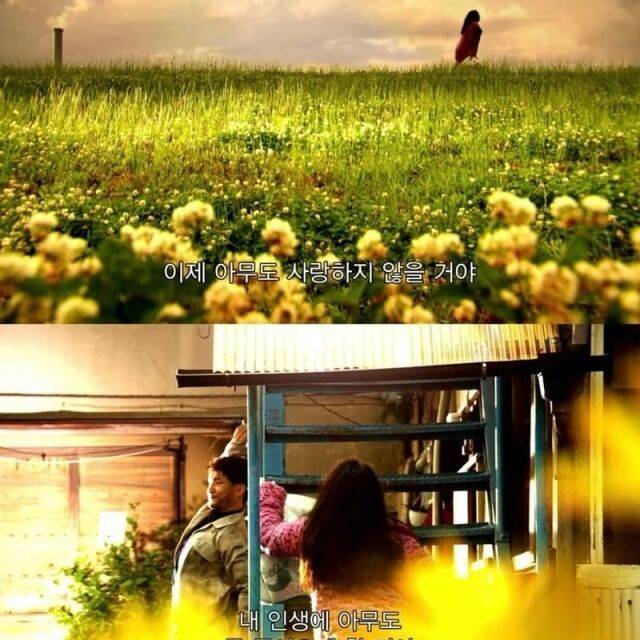 일본 영화 '혐오스런 마츠코의 일생' 스틸 컷. /백세희 소셜미디어