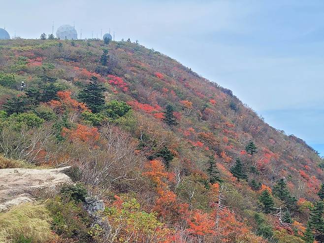 9월 30일 강원 설악산국립공원 중청 일원이 점차 단풍으로 물들고 있다. [설악산국립공원사무소 제공]