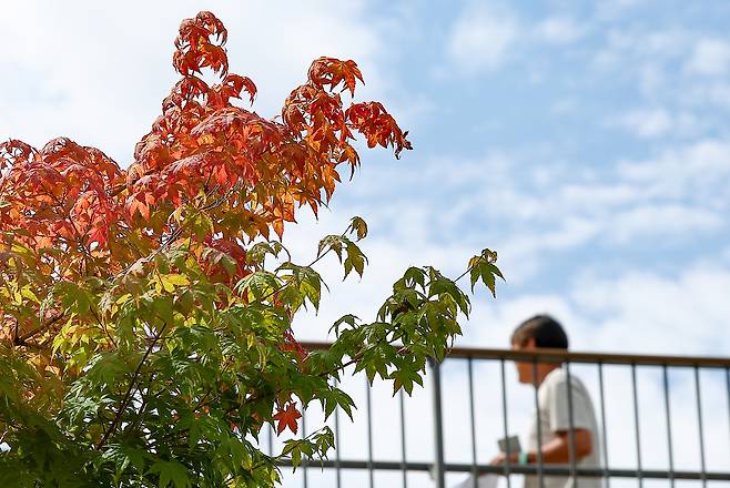맑은 초가을 날씨를 보인 14일 서울 용산구 노들섬에 단풍이 물들고 있다.[연합]