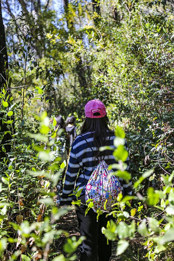 정상부에 이르면 숲과 수풀이 울창해서 이를 헤치면서 걸어야 하는 다소 험한 구간이 나온다.