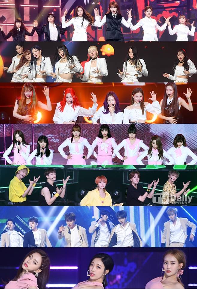 티브이데일리 포토