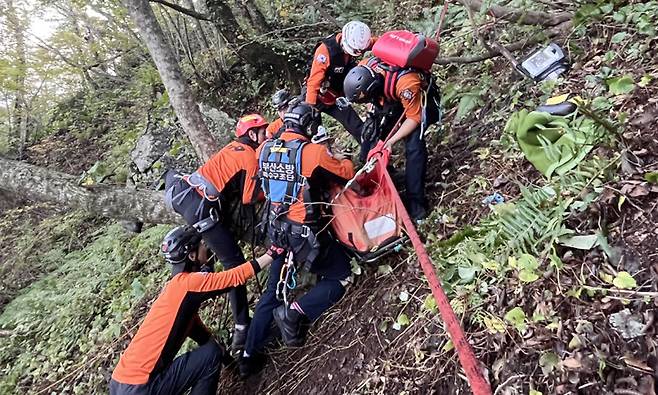 울릉119산악구조대가 17일 울릉도 등산로에서 추락한 등산객을 헬기로 후송하기 위한 준비를 하고 모습. /울릉119안전센터 제공