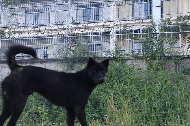 15일 오후 캄보디아 수도 프놈펜에 위치한 대규모 범죄 소굴인 원구단지 모습. 중국인들은 현재 이곳에서 활동을 하고 있었다. /박성원 기자