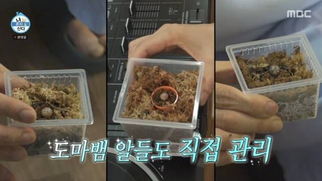 MBC ‘나 혼자 산다’ 캡처