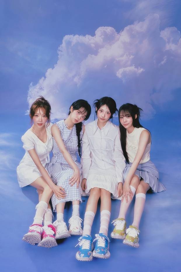 티브이데일리 포토