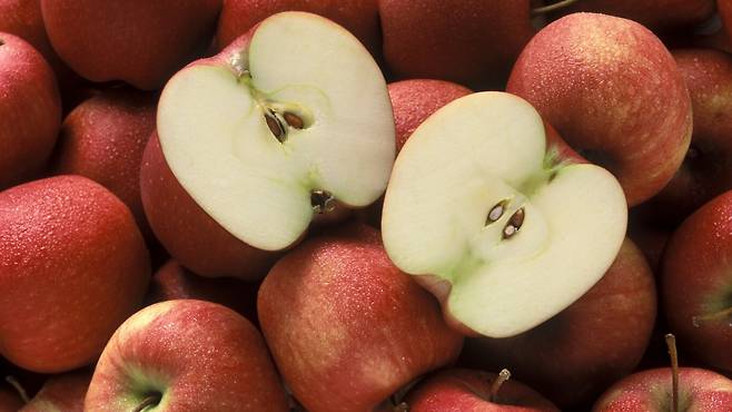 사과에는 건강에 이로운 영양 성분이 함유돼있다｜출처: 클립아트코리아