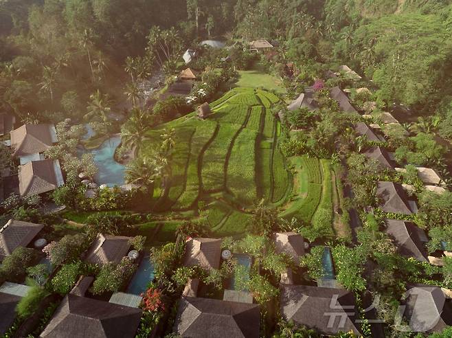 우붓 지역의 계단식 논과 사원 주변에 자리한 60채의 프라이빗 빌라.(만다파리츠칼튼리저브 제공)