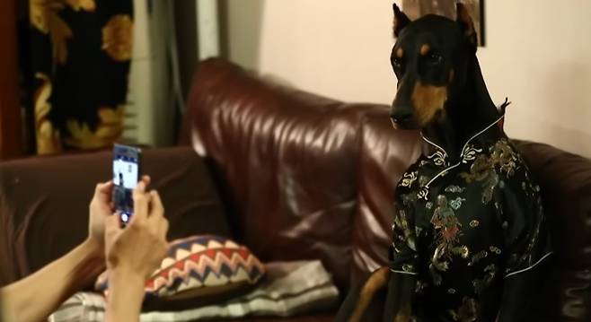 '미운 우리 새끼'(미우새) 하늘의 별이 된 벨