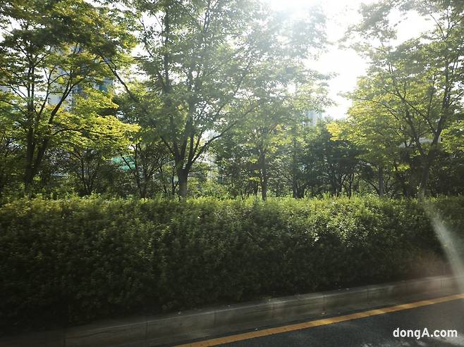 샤오미 15T 프로로 직접 찍은 사진 샘플.