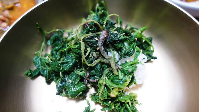 이토록 다양한 산나물을 내어주는 봄의 산은 참으로 고맙고 귀하다.