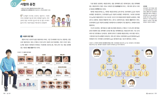 현재 고2 학생들이 선택과목으로 배우는 ‘생명과학1’ 교과서 내용. 쌍꺼풀, 보조개, 이마선, 혀 말기, 귓불 모양 등을 ‘우성’과 ‘열성’으로 설명하고 있다.