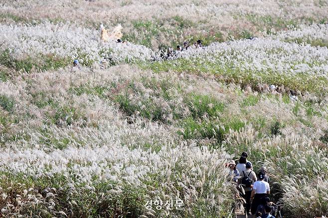 휴일인 19일 서울억새축제가 열리고 있는 서울 상암동 하늘공원을 찾은 시민들이 가을 햇살에 비친 억새숲을 걷고 있다. 2025.10.19 /서성일 선임기자