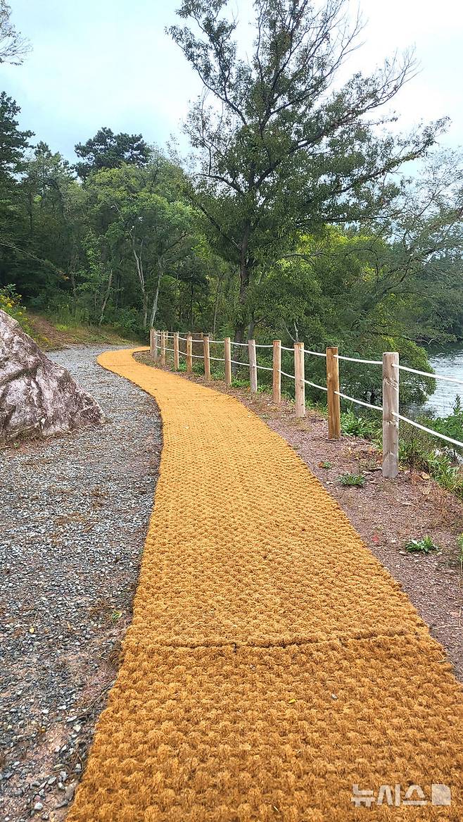 [나주=뉴시스] 이창우 기자=부드러운 야자매트가 깔린 '나주호 둘레길' 2구간 임도 모습. 2025.09.18. lcw@newsis.com