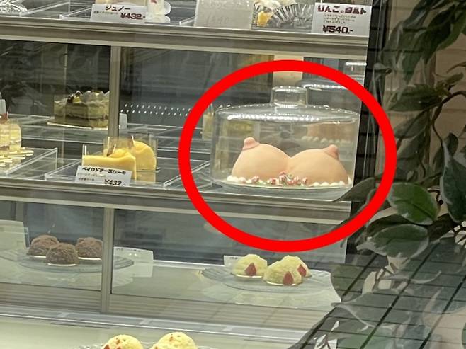 지난 4일 엑스(X)에는 “내가 잘못 본 게 아니라면 케이크들 사이에 가슴이 있다”는 글과 함께 가슴 모양으로 보이는 케이크가 진열돼 있는 사진이 올라왔다. 엑스(X) 캡처