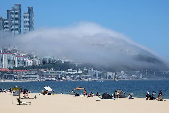 6월29일 부산 해운대해수욕장에서 피서객들이 짙은 해무를 배경으로 물놀이를 하고 있다. ⓒ연합뉴스
