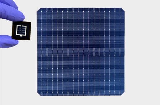 공동제작한 탠덤 셀(왼쪽), HD현대에너지솔루션이 제작한 HJT 셀(오른쪽)/사진=HD현대에너지솔루션 제고