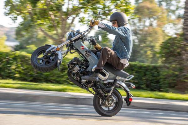 출처 : 사이클 월드