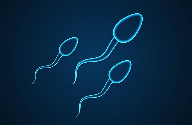 사진=게티이미지코리아.